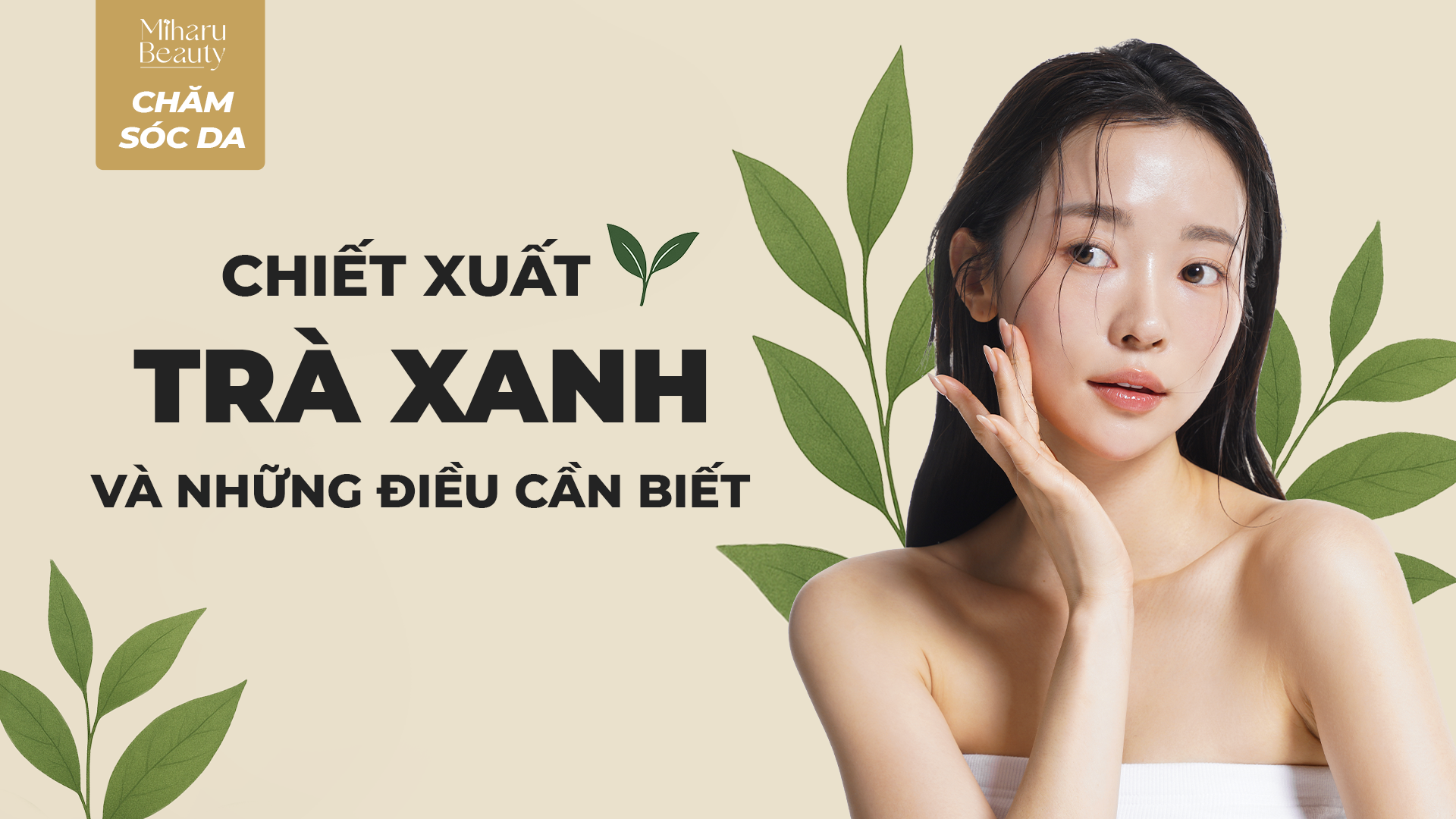 CHIẾT XUẤT TRÀ XANH VÀ NHỮNG ĐIỀU CẦN BIẾT.